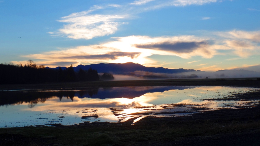 Bow Sunrise, Washington State (photo by Karen Molenaar Terrell)